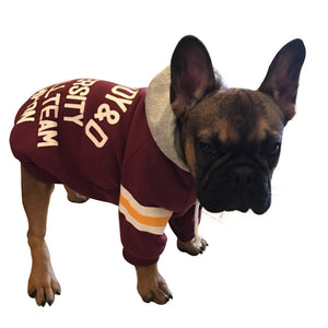 Keep Your Furry Friend Cozy This Season with Our Stylish Pet Sweater!