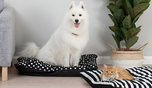 Choosing the Perfect Pet Bed