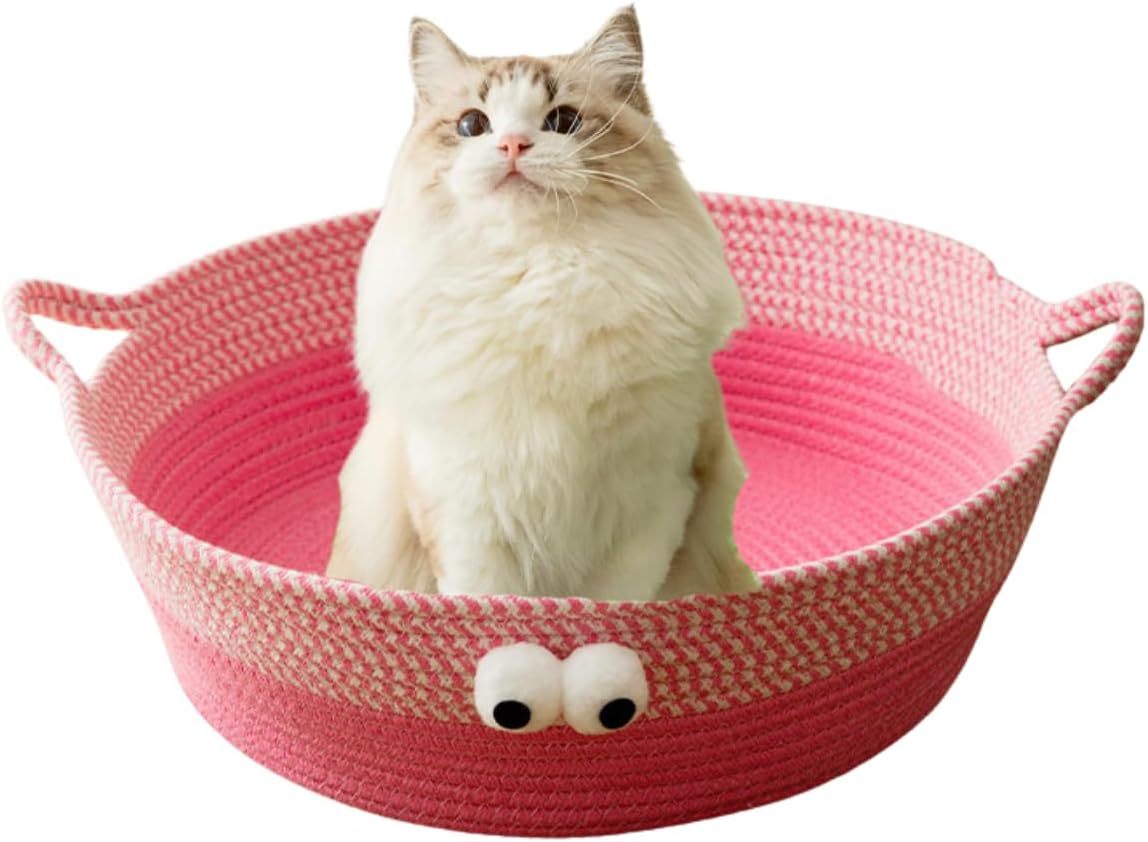Scratch Cat Bed For Indoor Cats