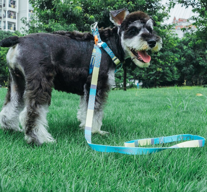 Dog rope walking Pet Leashes