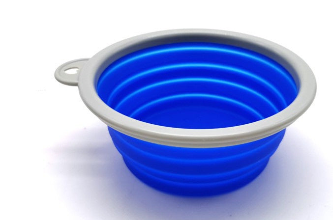 Automatic Retractable Leash