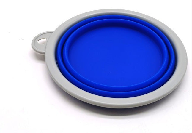 Automatic Retractable Leash