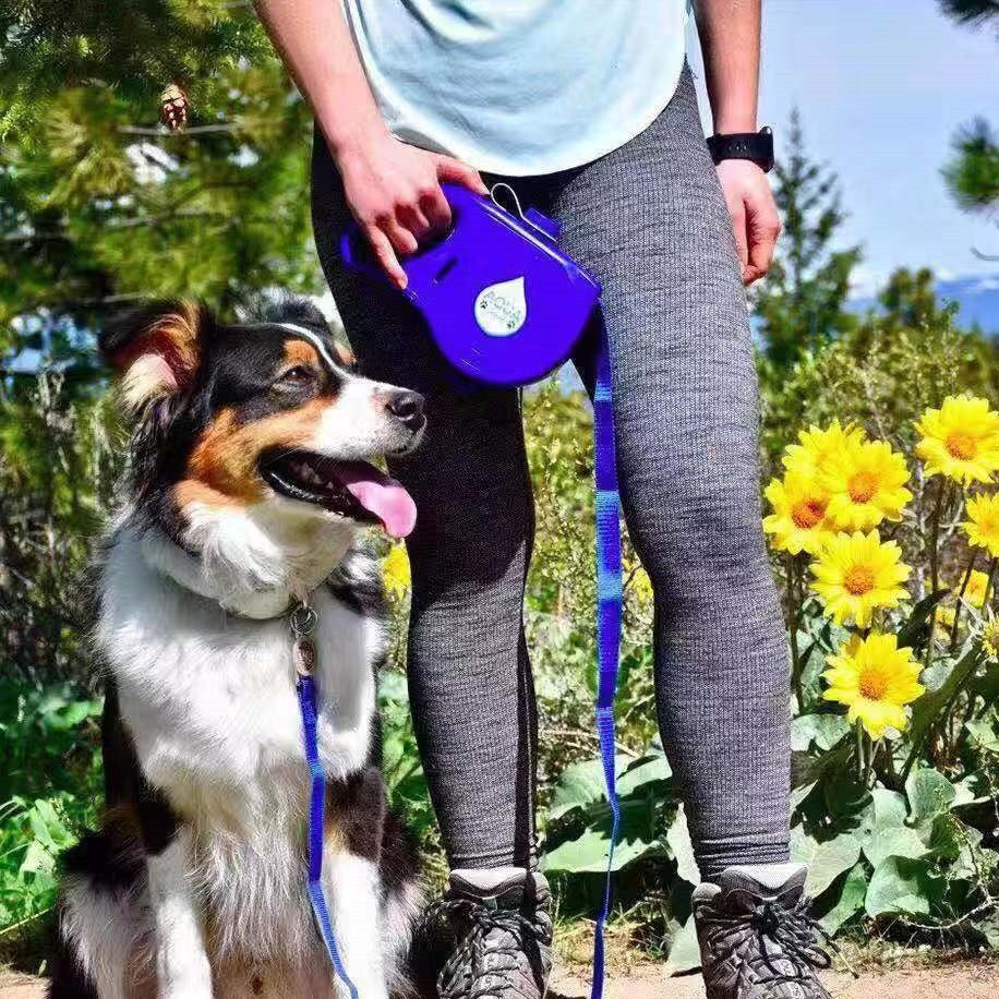 Pet Supplies Dog Leash