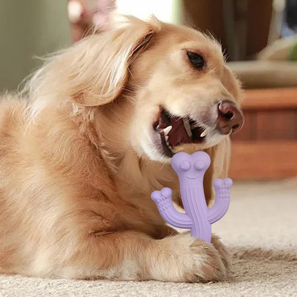 Interactive Pet Leashes TOy