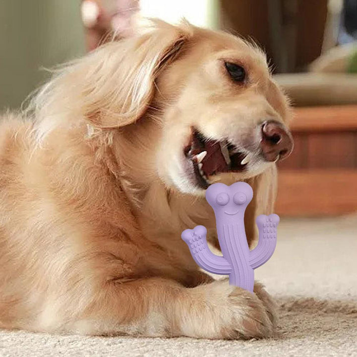 Interactive Pet Leashes TOy