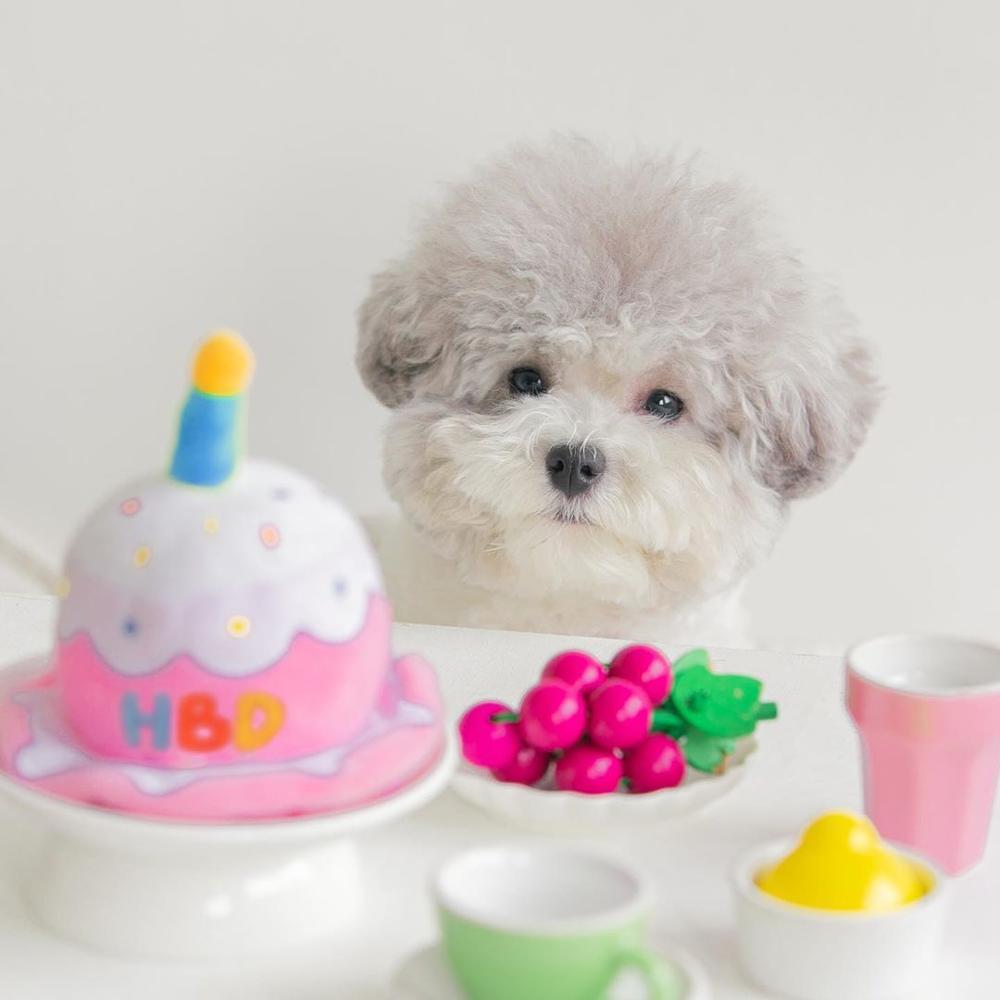 Creative Dog Cat Birthday Hat Plush Toy
