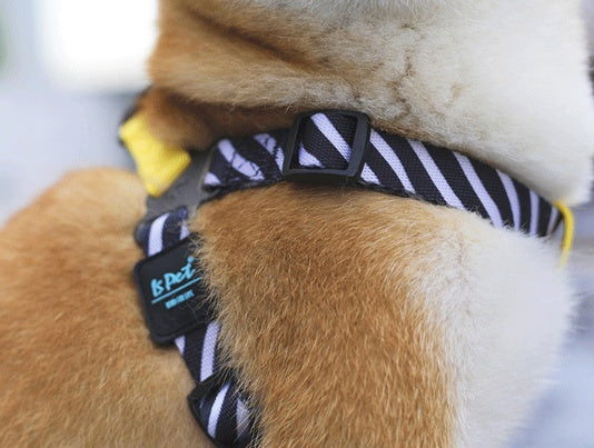 ISPET dog chest strap
