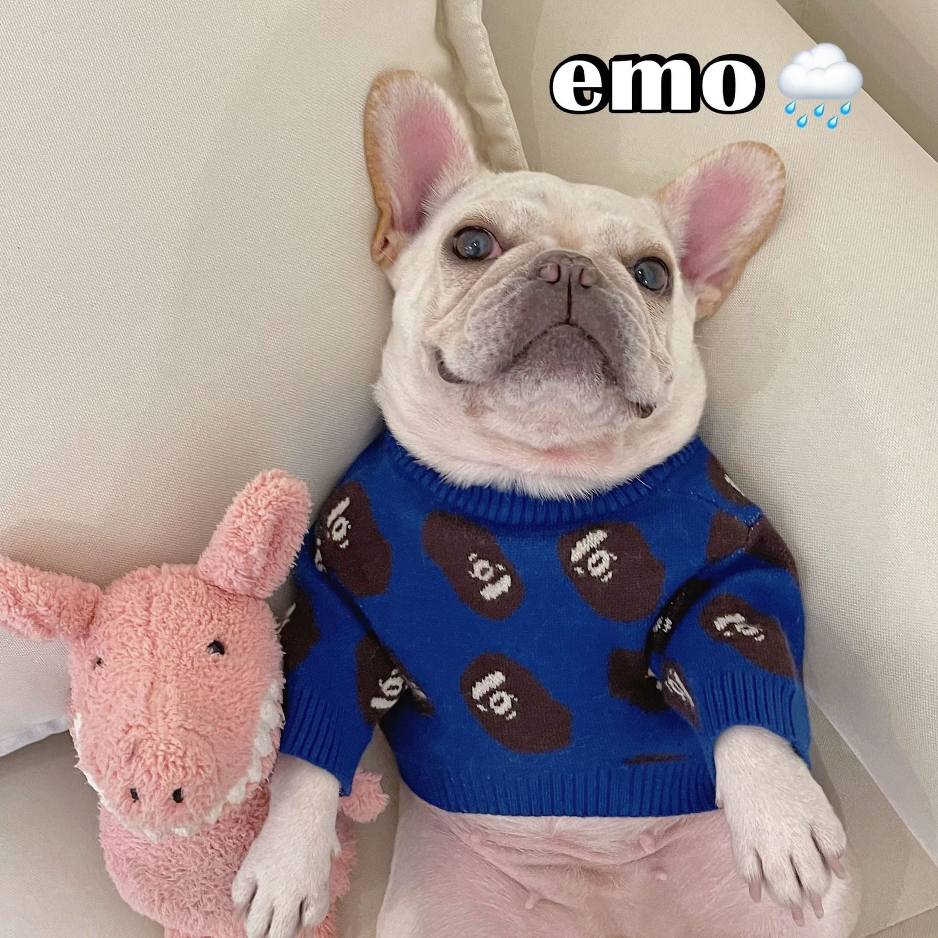 Pet Trendy Brand Popular Clothes Dog