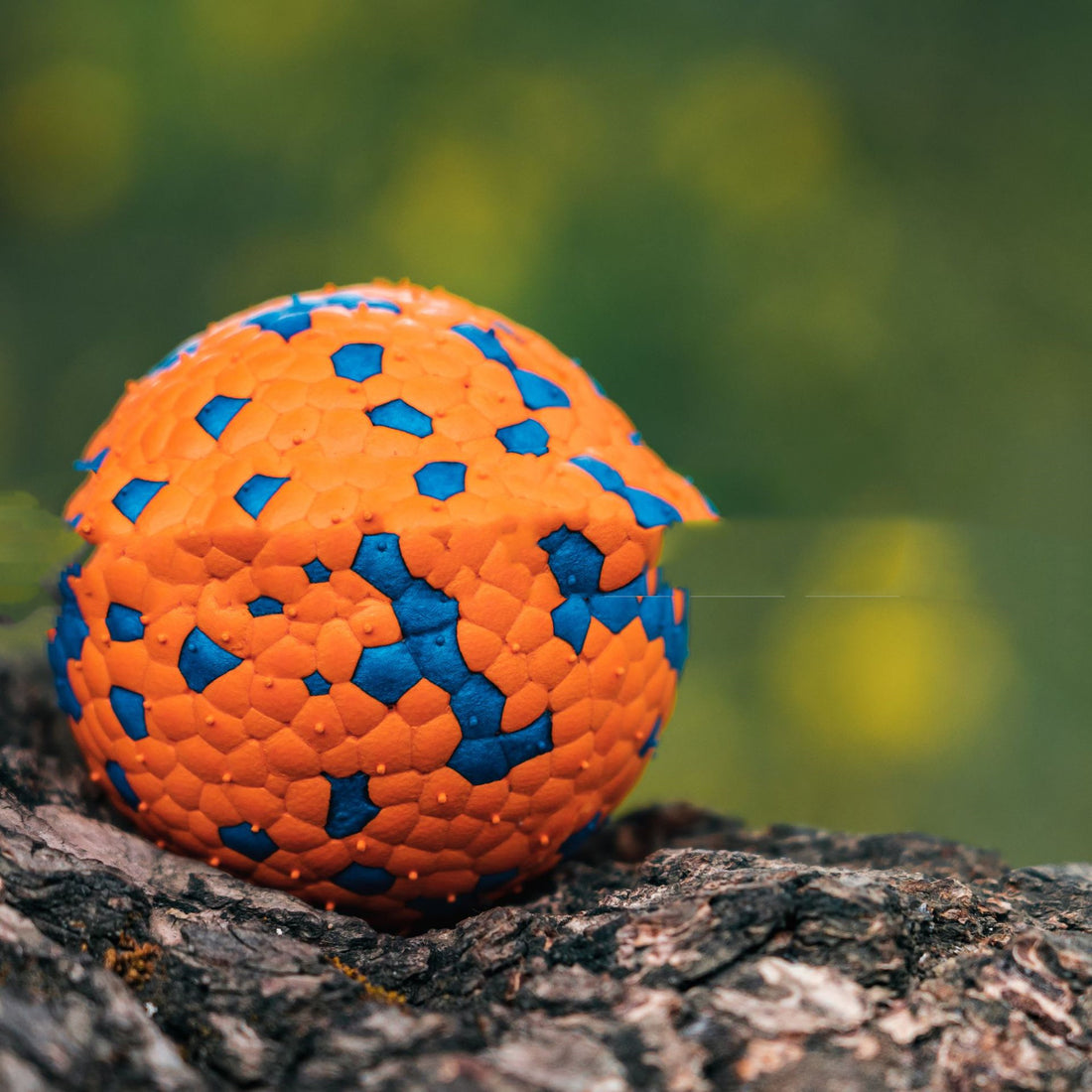 Resistant To Bite And Chew Toy