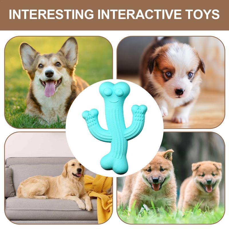 Interactive Pet Leashes TOy