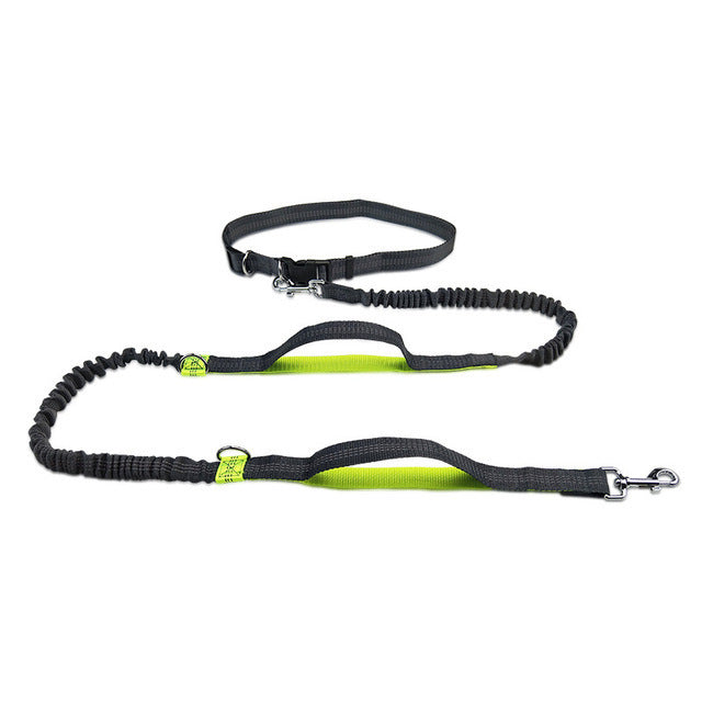 Harness Collar Adjustable Pet Leash