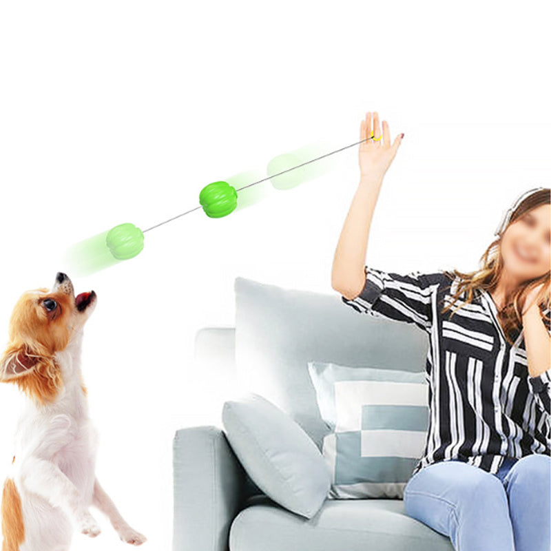 Pet Squeaky Chew Toy