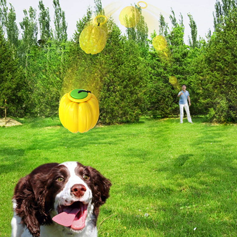 Pet Squeaky Chew Toy