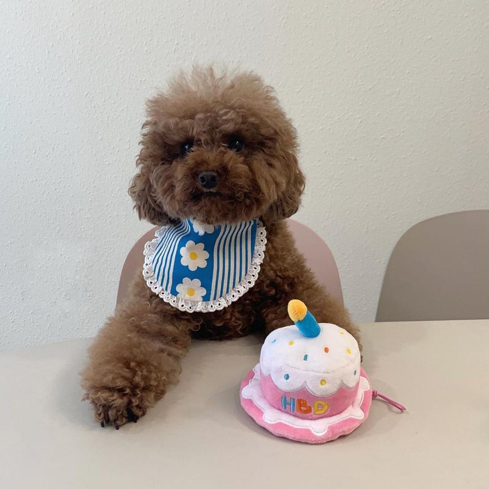 Creative Dog Cat Birthday Hat Plush Toy