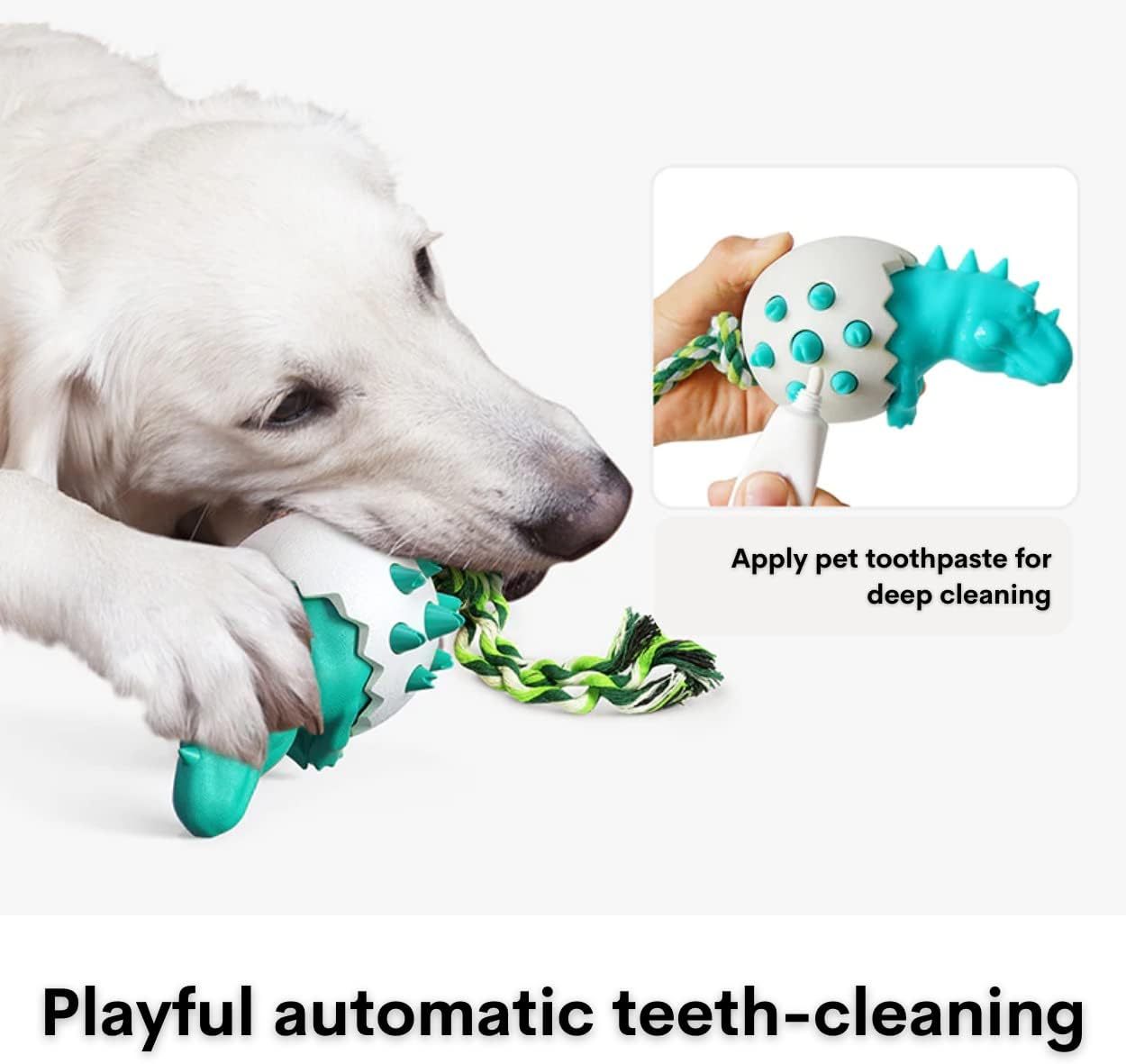 Durable Rubber Chew Toy