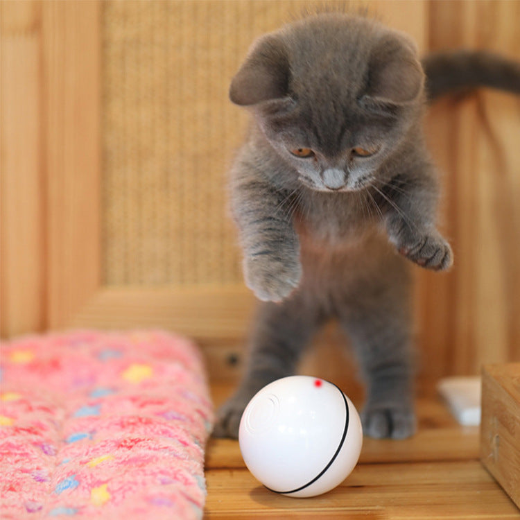 USB laser funny cat toy