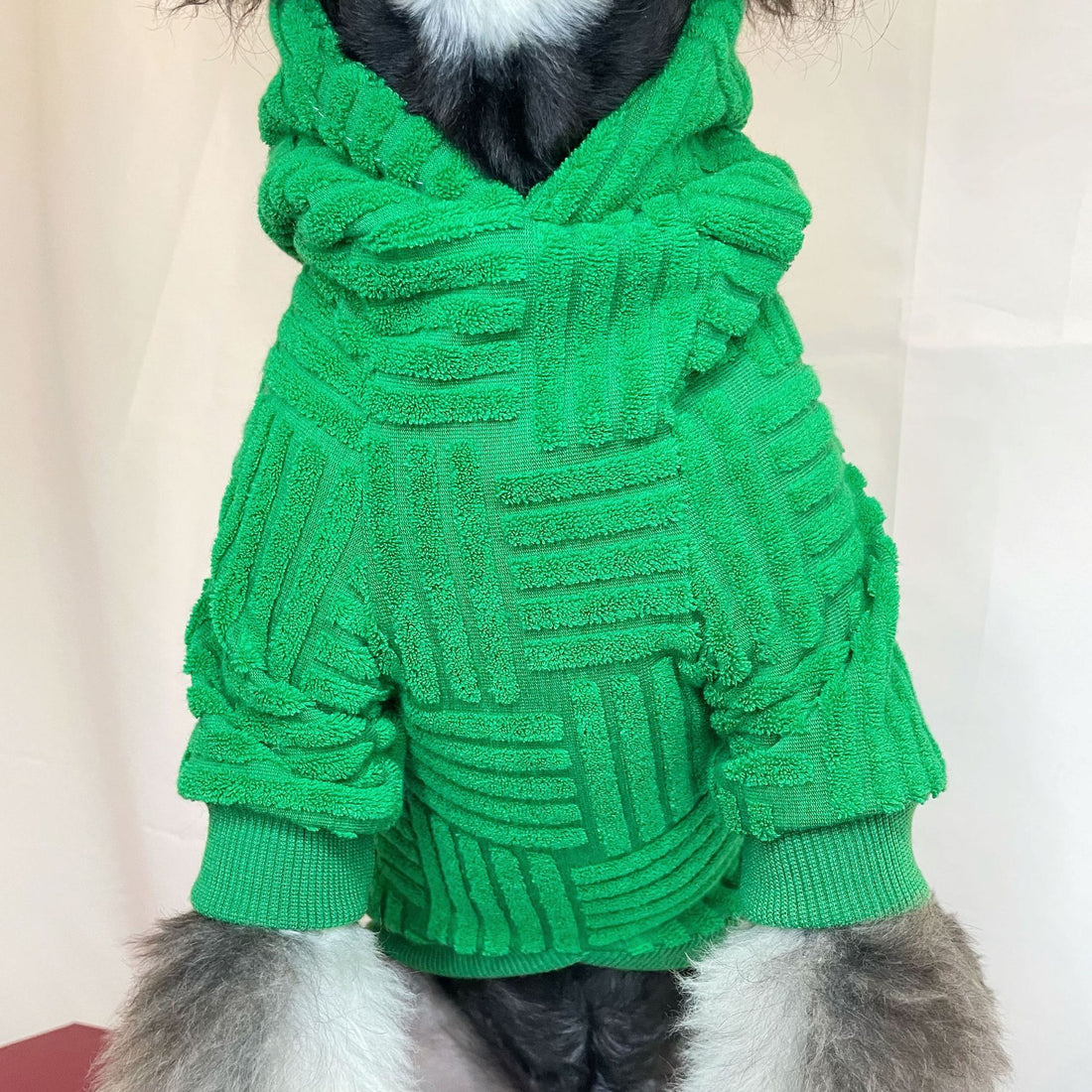 Pet Green Terry Sweater Hoodie Fashion