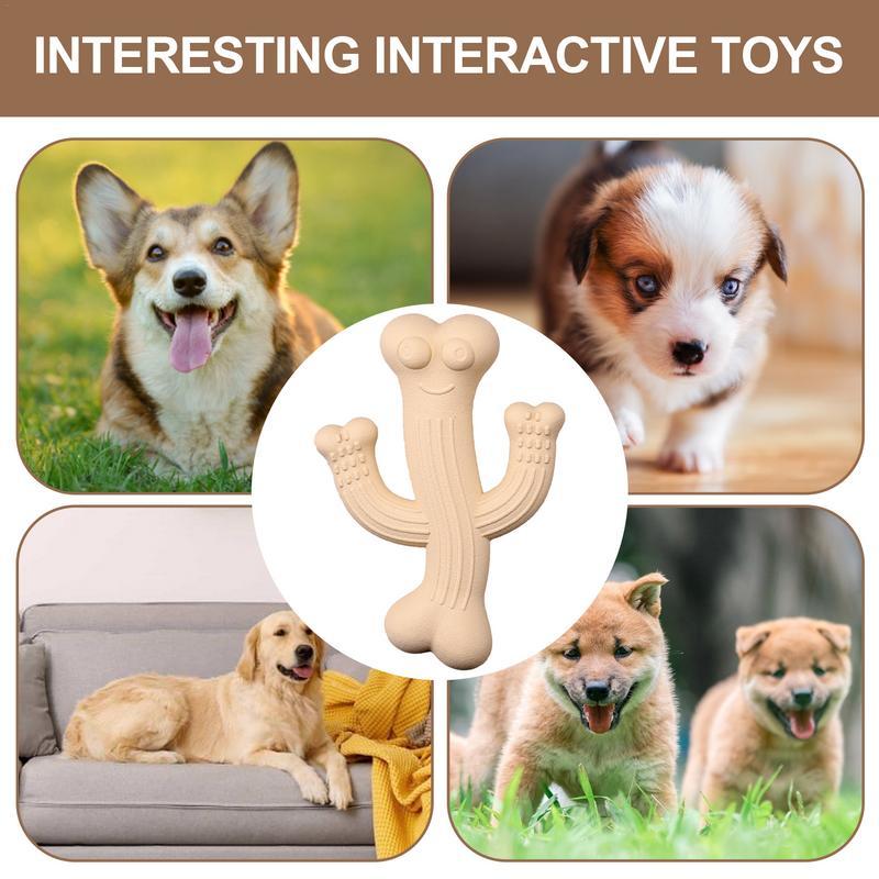 Interactive Pet Leashes TOy