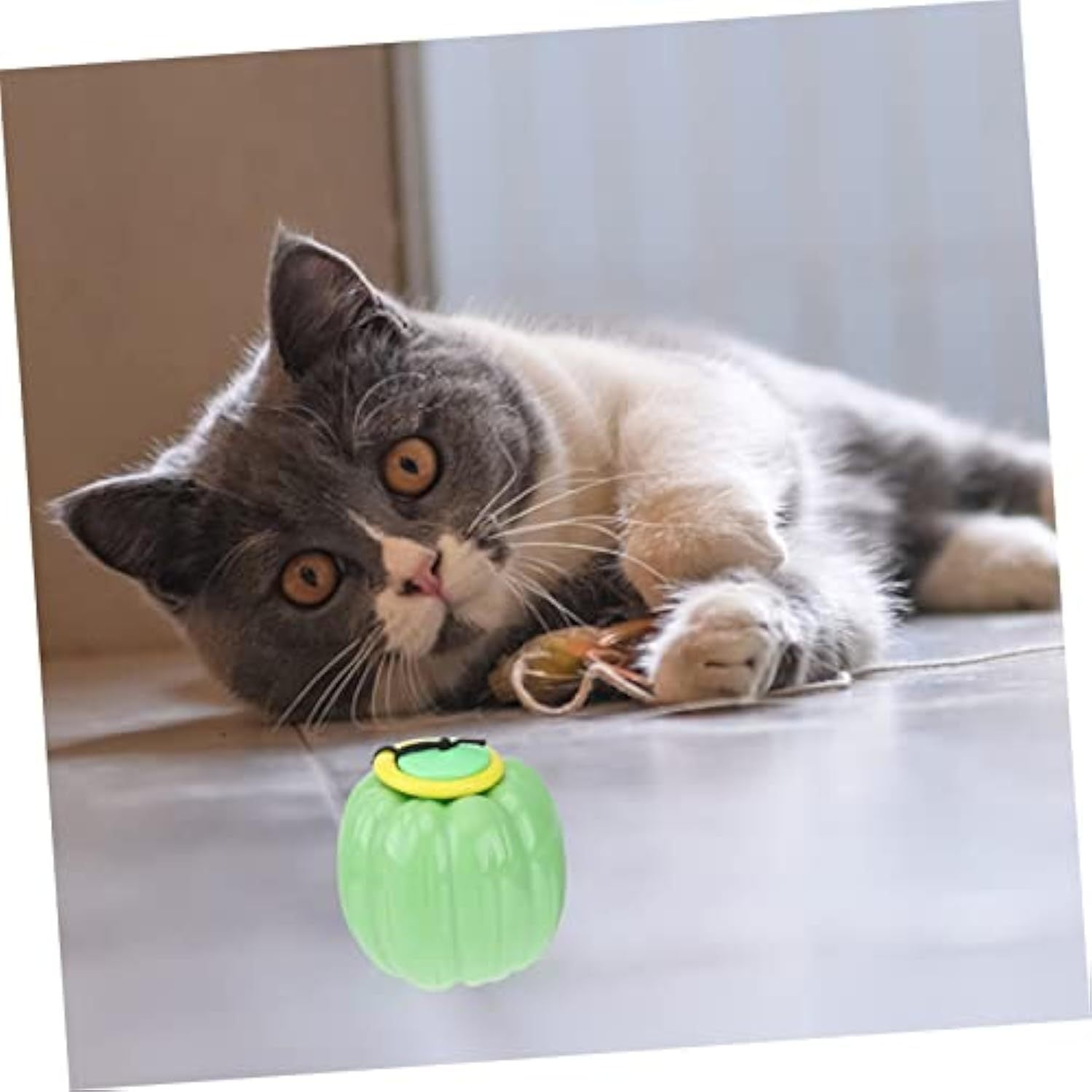 Pet Squeaky Chew Toy