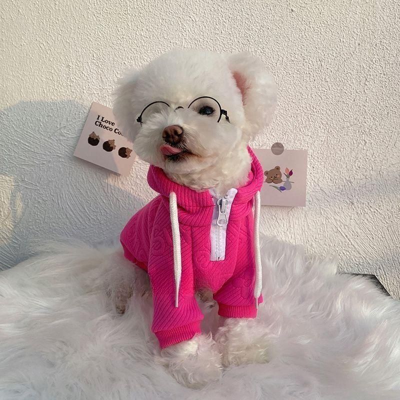 Internet Celebrity Pet Sweater Handsome