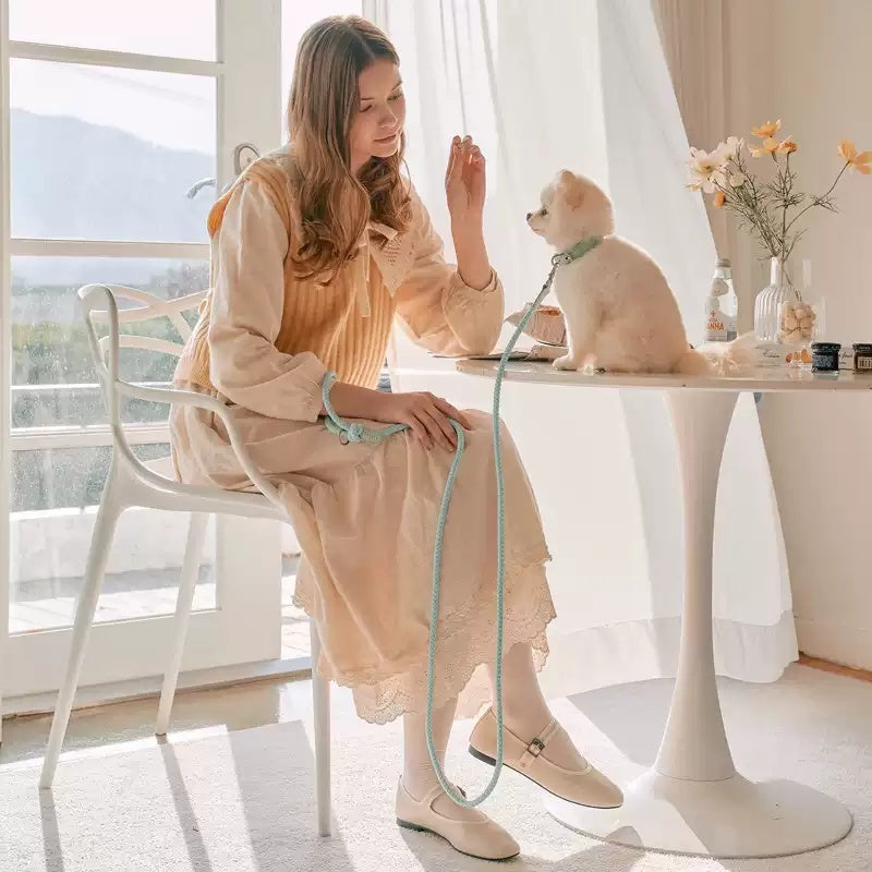 Dog Collar Leather Hand Holding Leash