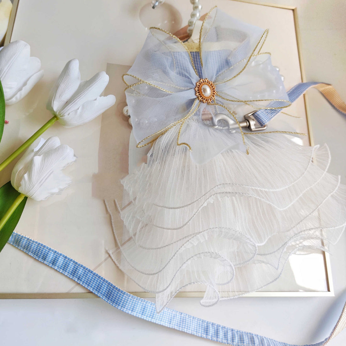 Pet Leash Cat And Puppy Universal