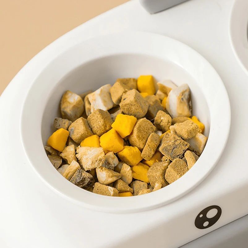 Pet Double Bowl Pet Supplies Accessories