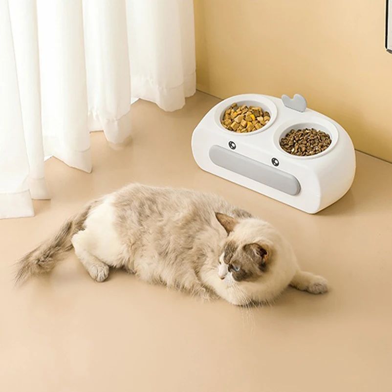 Pet Double Bowl Pet Supplies Accessories