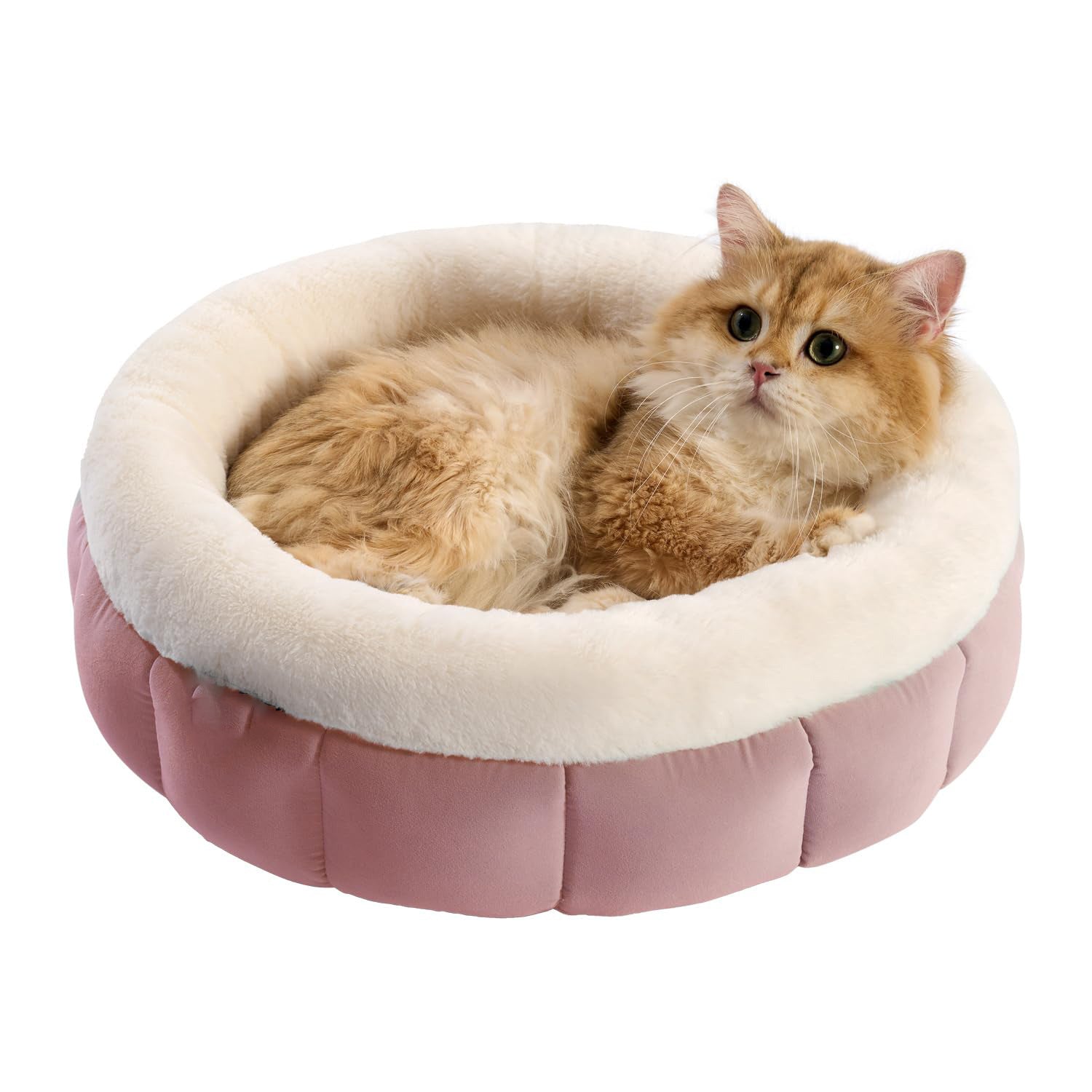 Donut Dog Beds For Small Dogs