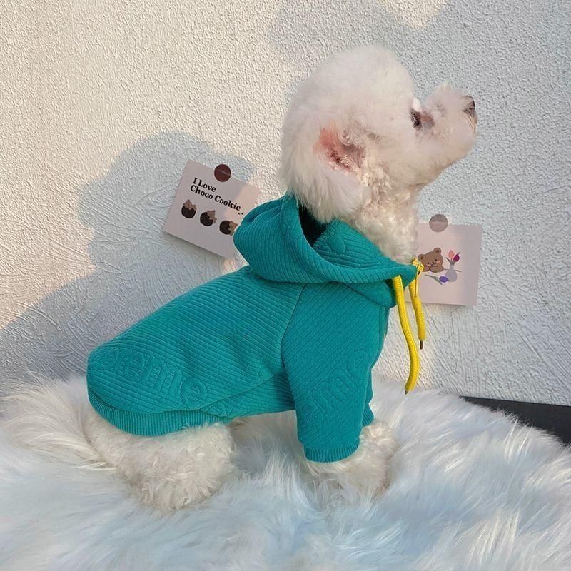 Internet Celebrity Pet Sweater Handsome