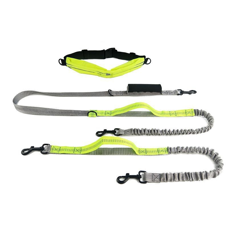 Reflective pull dog leash