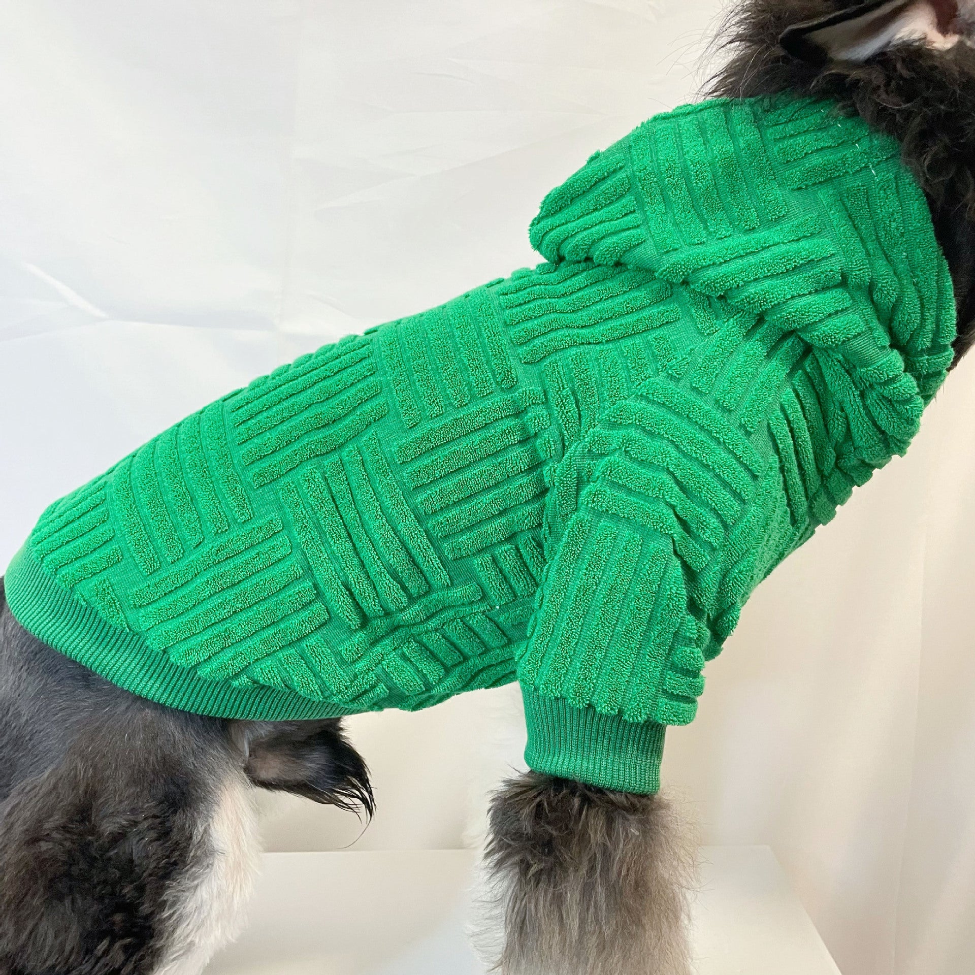 Pet Green Terry Sweater Hoodie Fashion