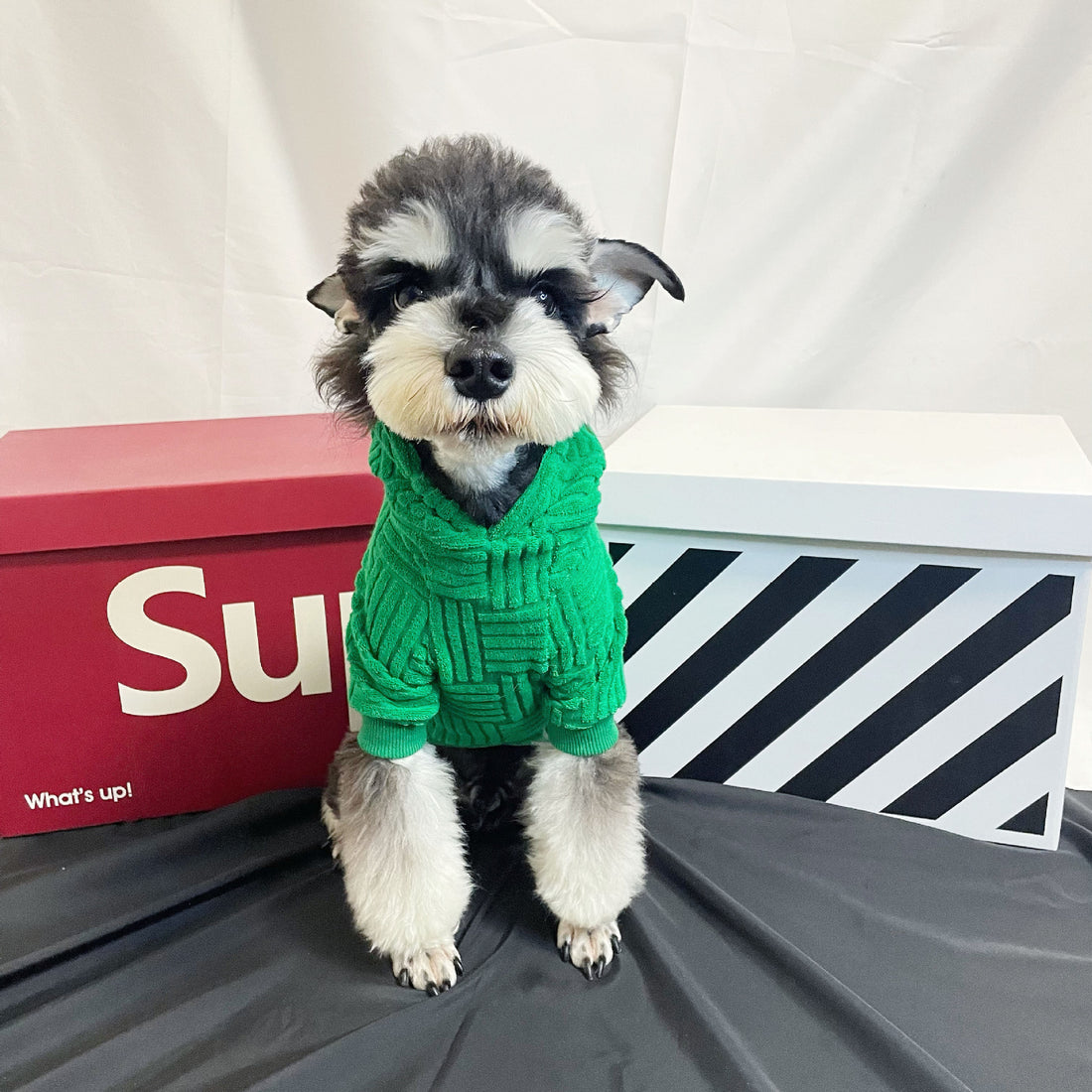 Pet Green Terry Sweater Hoodie Fashion