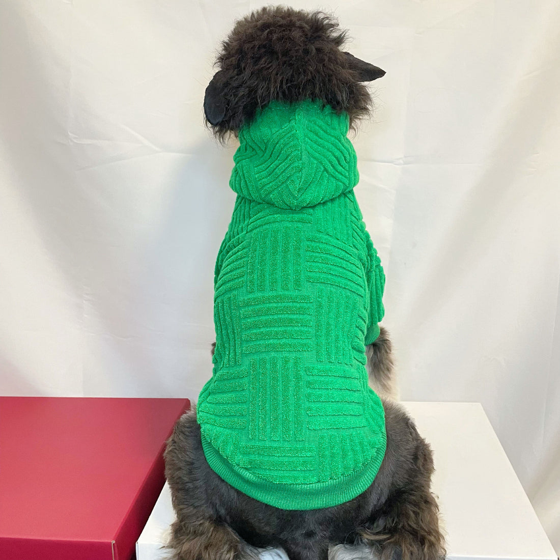 Pet Green Terry Sweater Hoodie Fashion