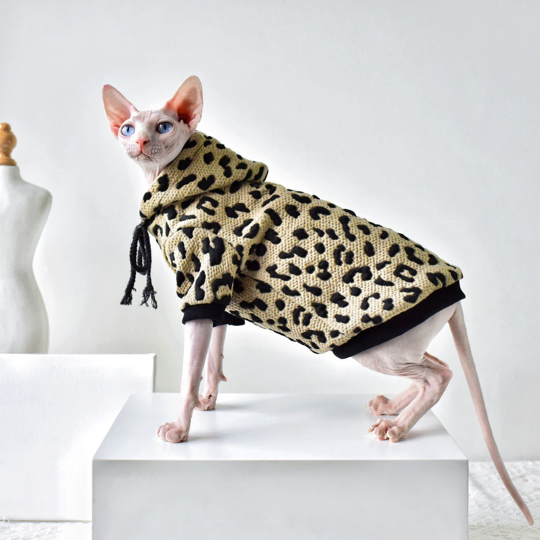 Camouflage Sweater Hairless Cat