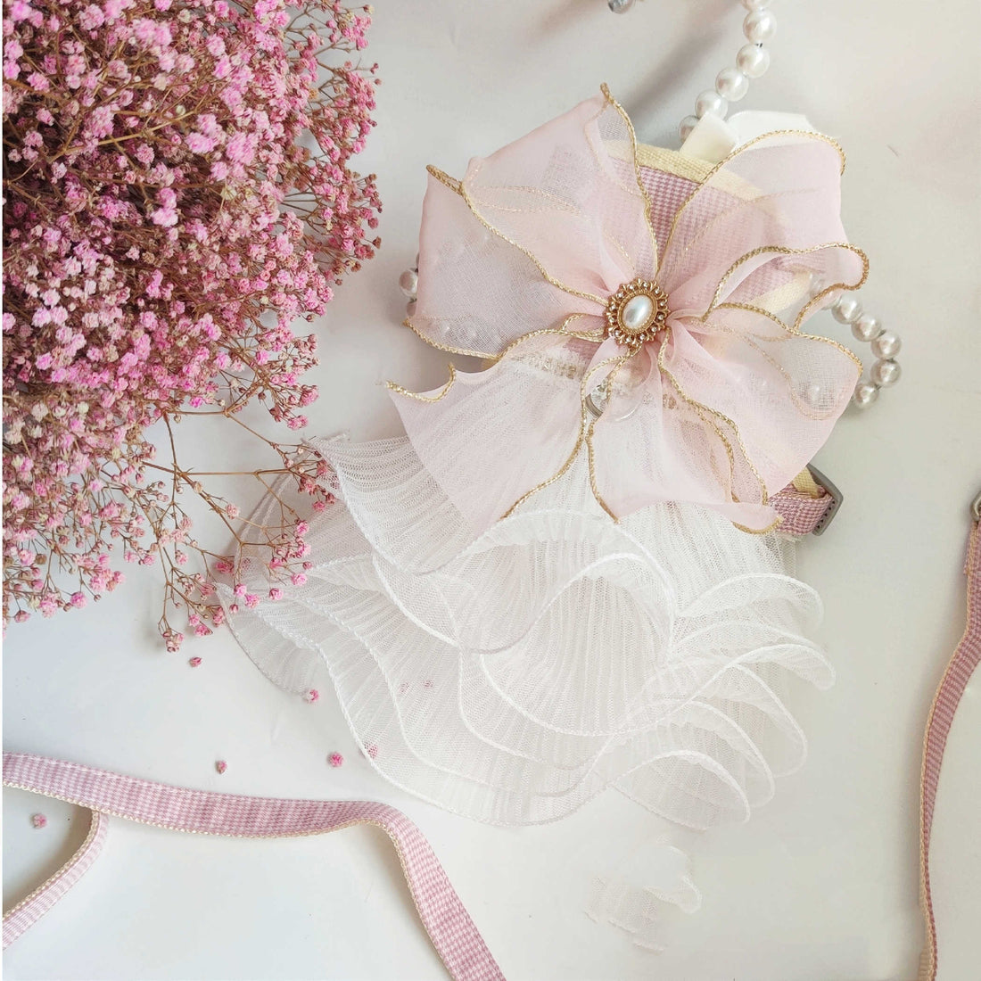 Pet Leash Cat And Puppy Universal