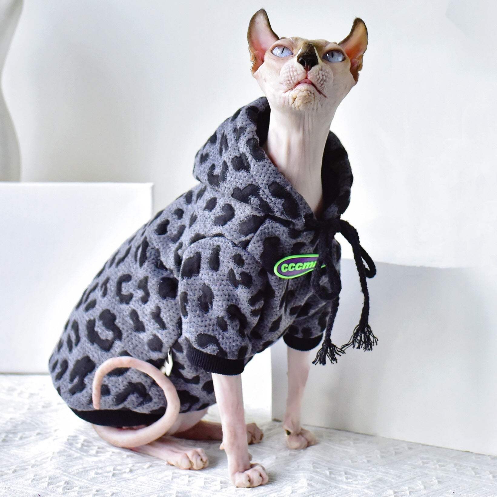 Camouflage Sweater Hairless Cat
