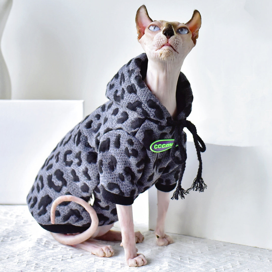 Camouflage Sweater Hairless Cat