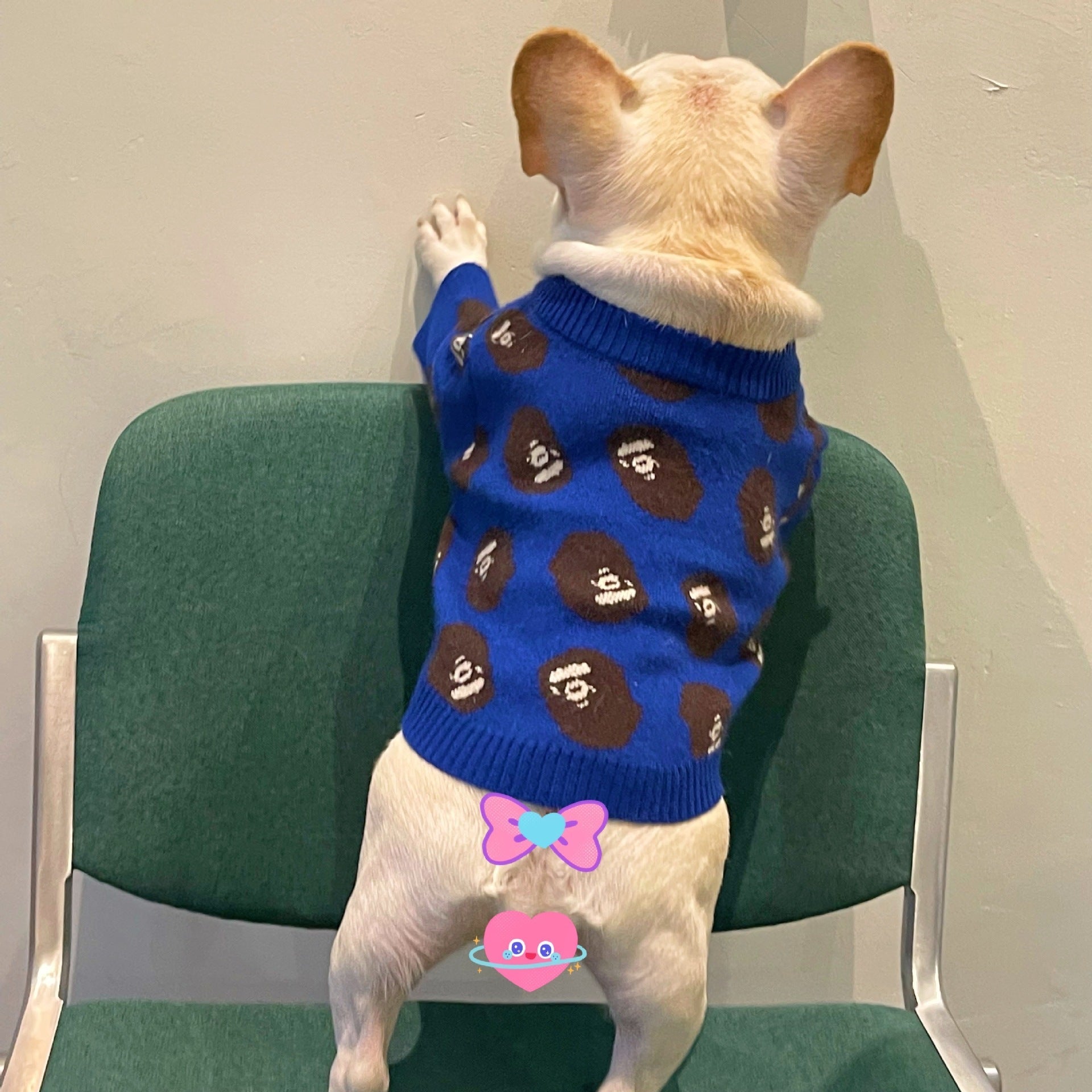 Pet Trendy Brand Popular Clothes Dog