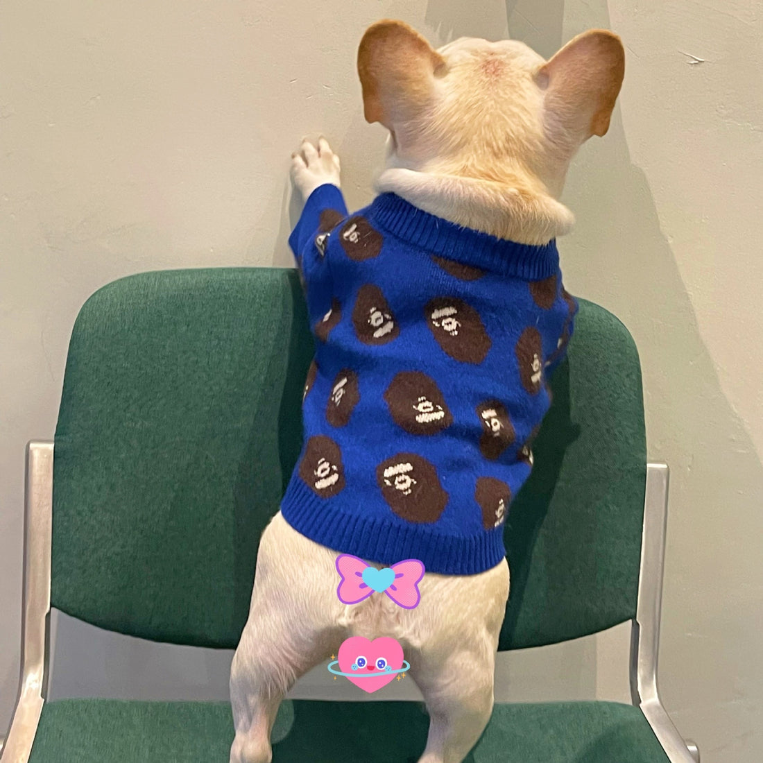 Pet Trendy Brand Popular Clothes Dog