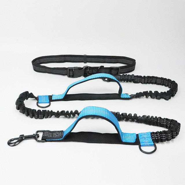 Harness Collar Adjustable Pet Leash