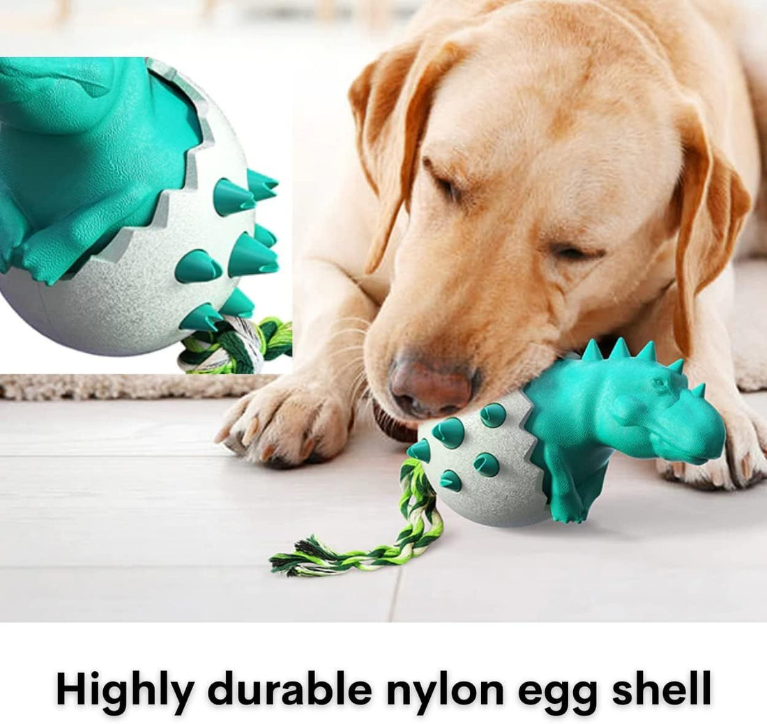 Durable Rubber Chew Toy
