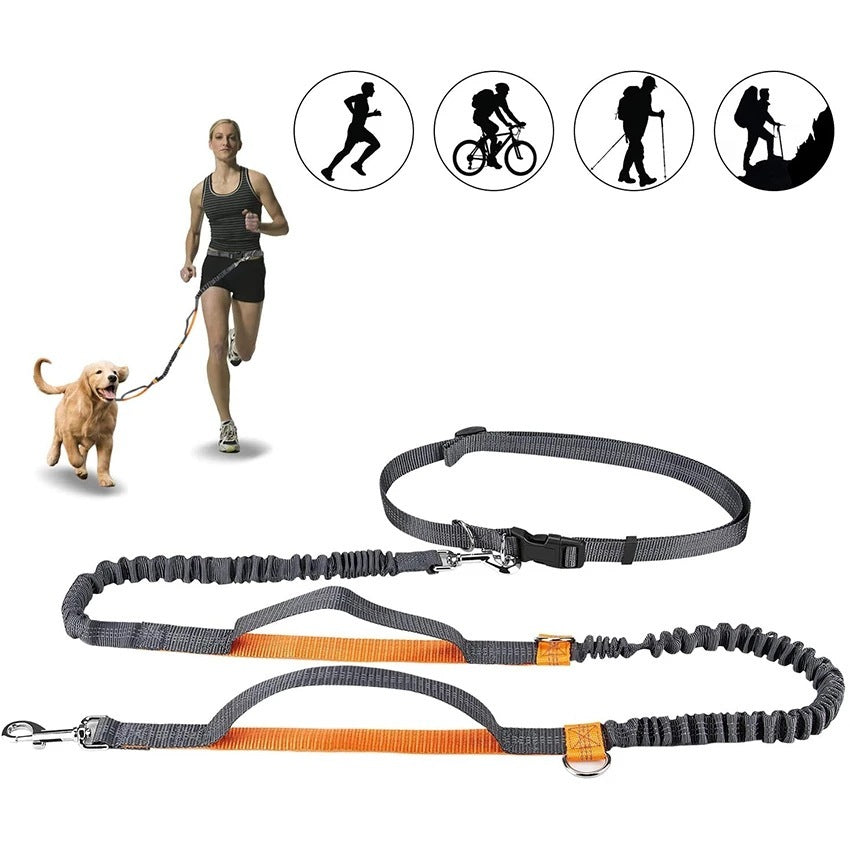 Harness Collar Adjustable Pet Leash