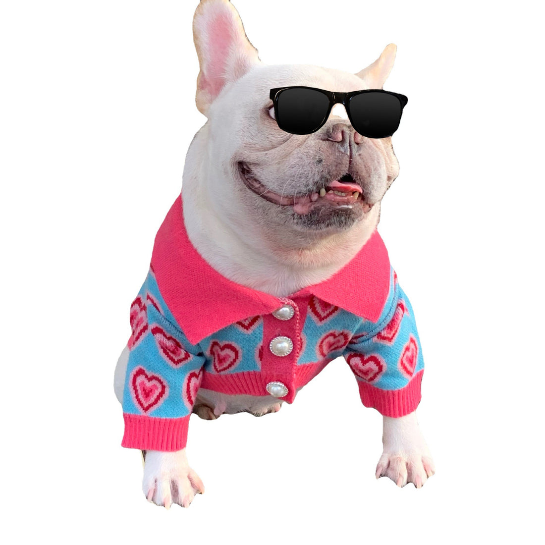 Pet Trendy Dog Sweater Cat French