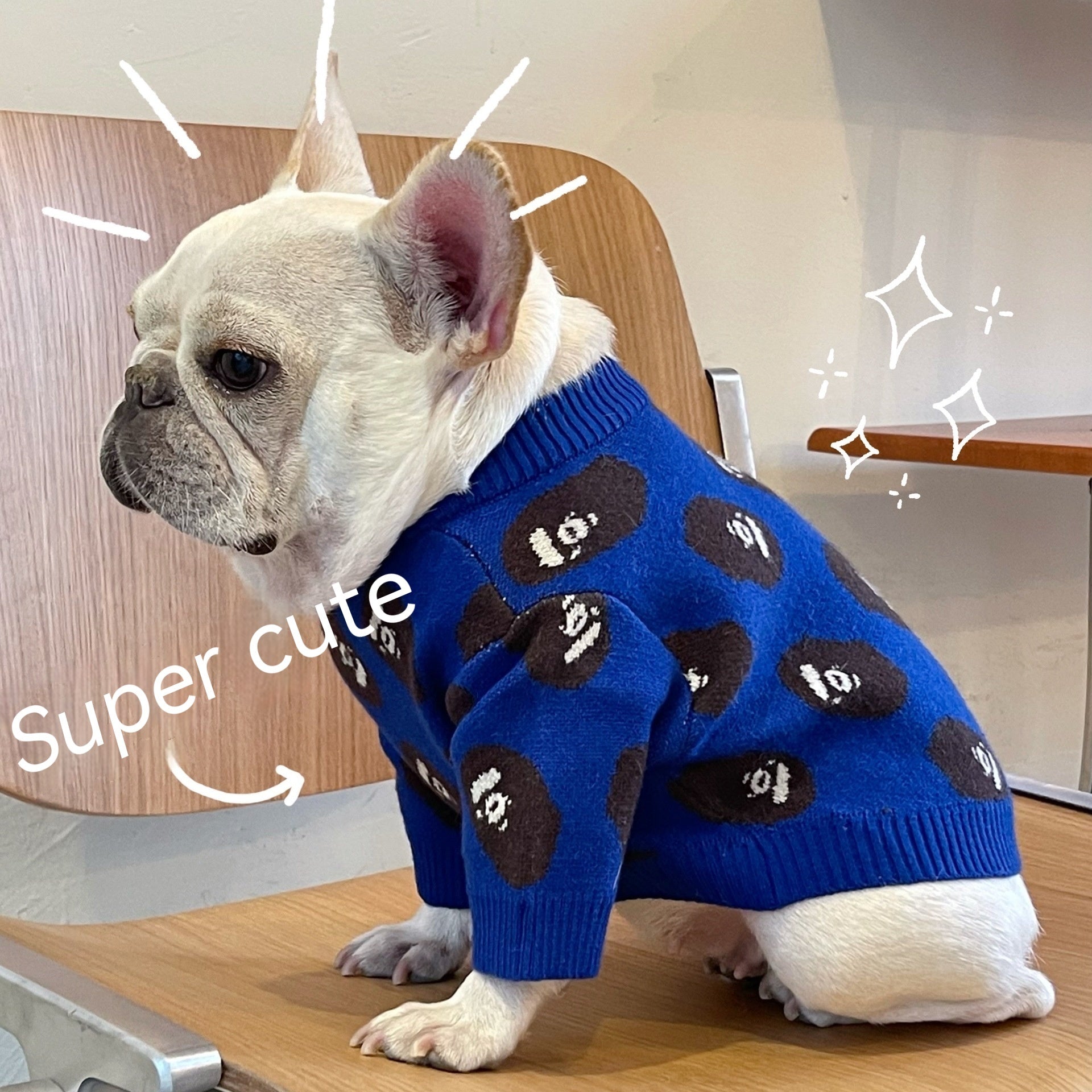 Pet Trendy Brand Popular Clothes Dog