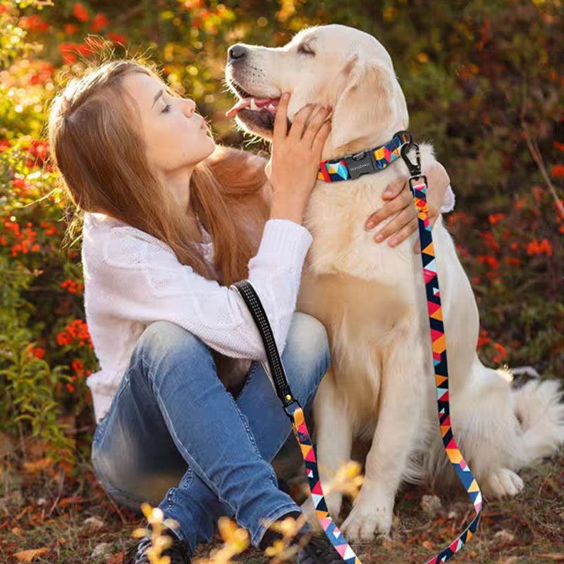 Anti-lost Dog Leash Pet Supplies