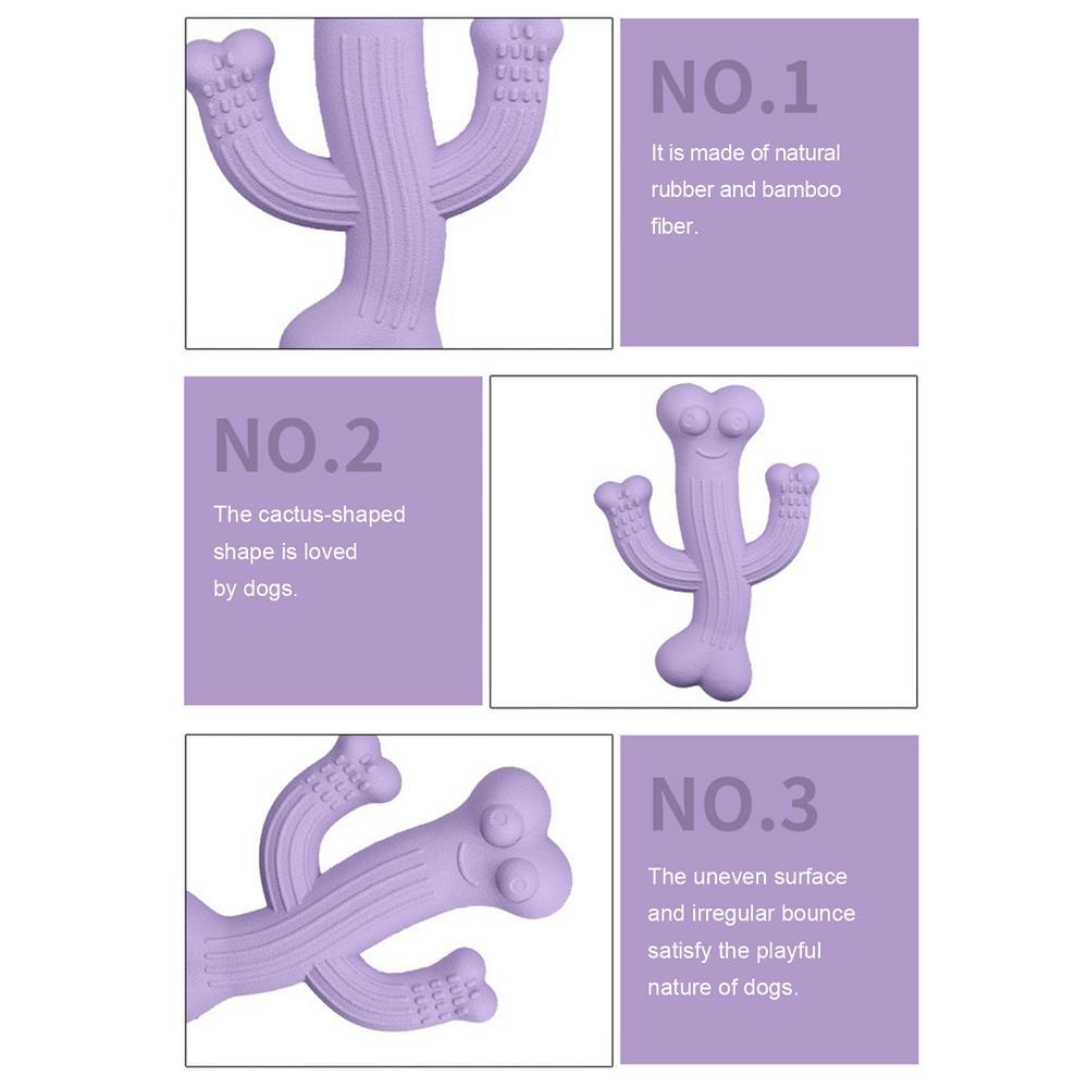 Interactive Pet Leashes TOy