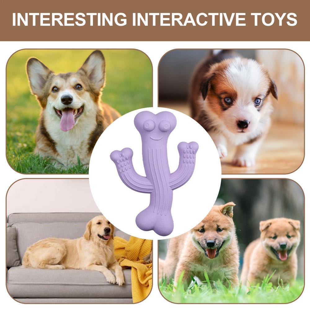 Interactive Pet Leashes TOy